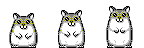Danse des hamsters